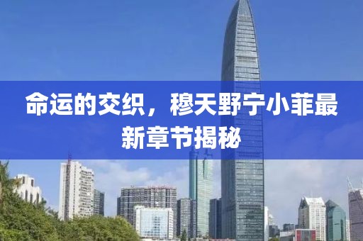 命運(yùn)的交織，穆天野寧小菲最新章節(jié)揭秘