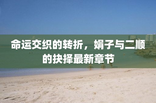 命運(yùn)交織的轉(zhuǎn)折，娟子與二順的抉擇最新章節(jié)