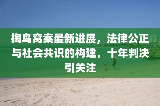 掏鳥窩案最新進(jìn)展，法律公正與社會(huì)共識(shí)的構(gòu)建，十年判決引關(guān)注