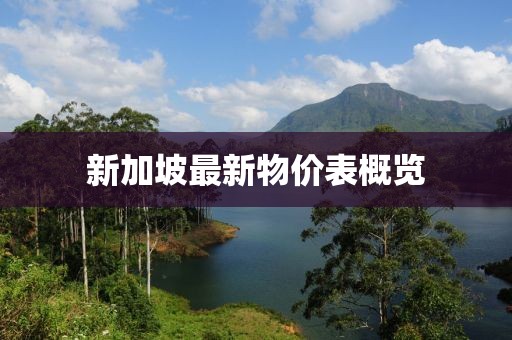 新加坡最新物價表概覽