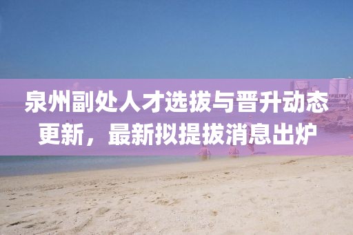 泉州副處人才選拔與晉升動態(tài)更新，最新擬提拔消息出爐