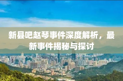 新縣吧趙琴事件深度解析，最新事件揭秘與探討