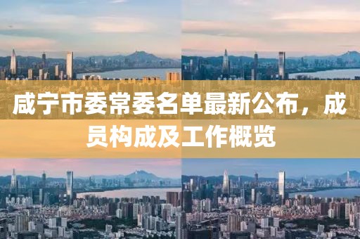 咸寧市委常委名單最新公布，成員構(gòu)成及工作概覽