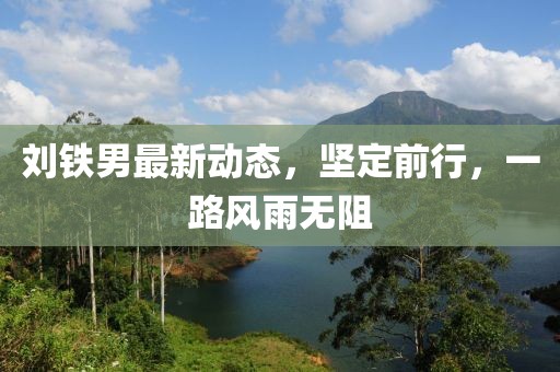 劉鐵男最新動(dòng)態(tài)，堅(jiān)定前行，一路風(fēng)雨無(wú)阻