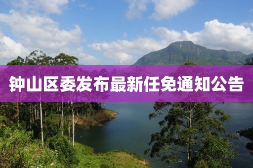 鐘山區(qū)委發(fā)布最新任免通知公告