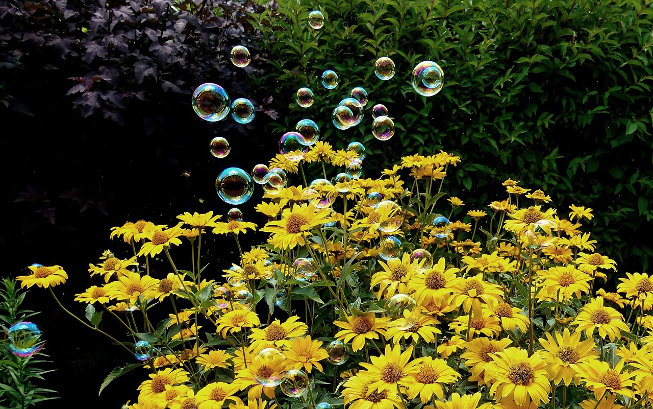 祥臨鐵路最新動態(tài)解析，全面解讀最新消息