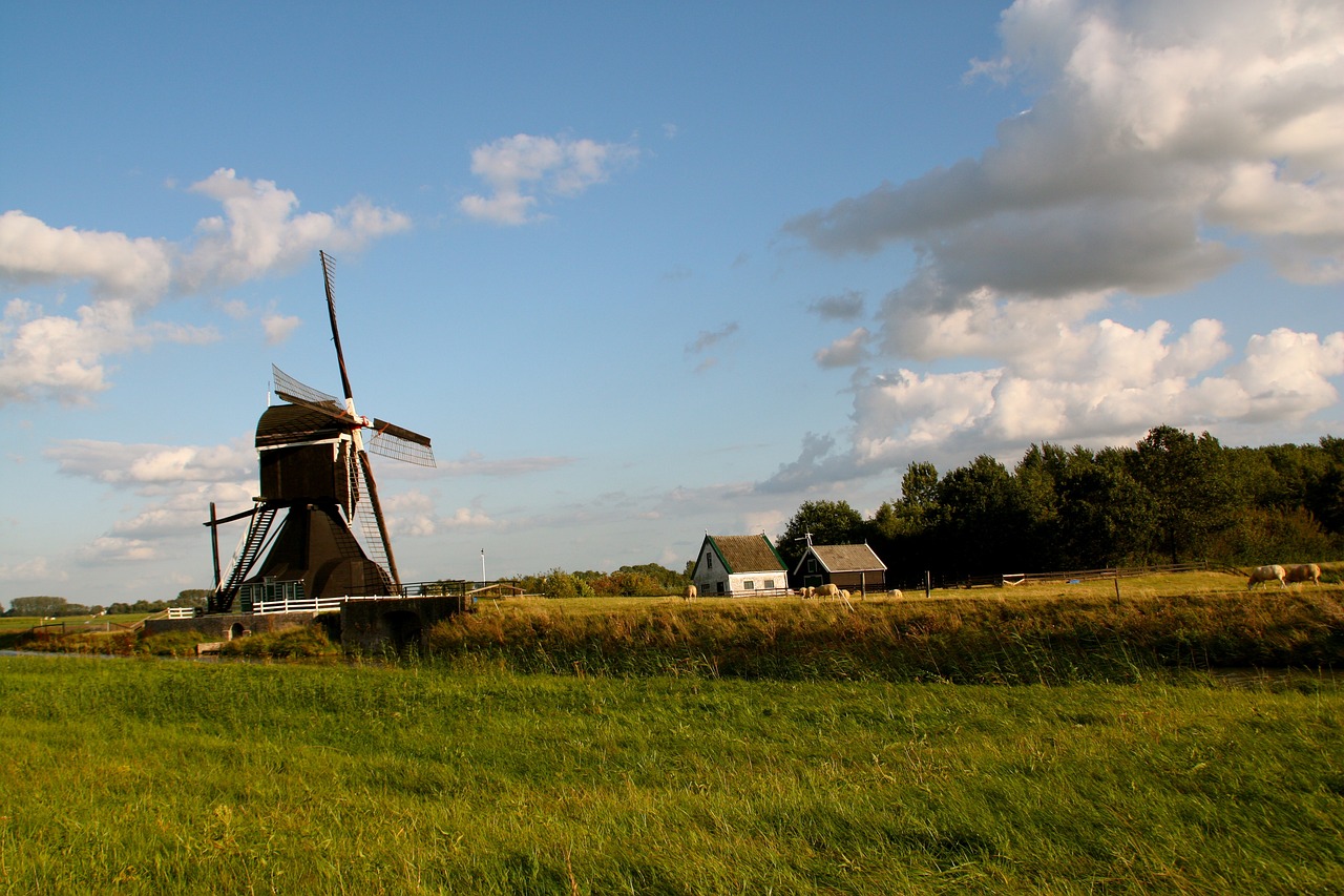 沙鍋村改造最新動態(tài)，重塑鄉(xiāng)村風(fēng)貌，引領(lǐng)鄉(xiāng)村振興之路