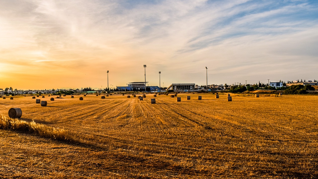 地稅機(jī)構(gòu)改革最新動(dòng)態(tài)，深化稅務(wù)改革，優(yōu)化服務(wù)以提升效率