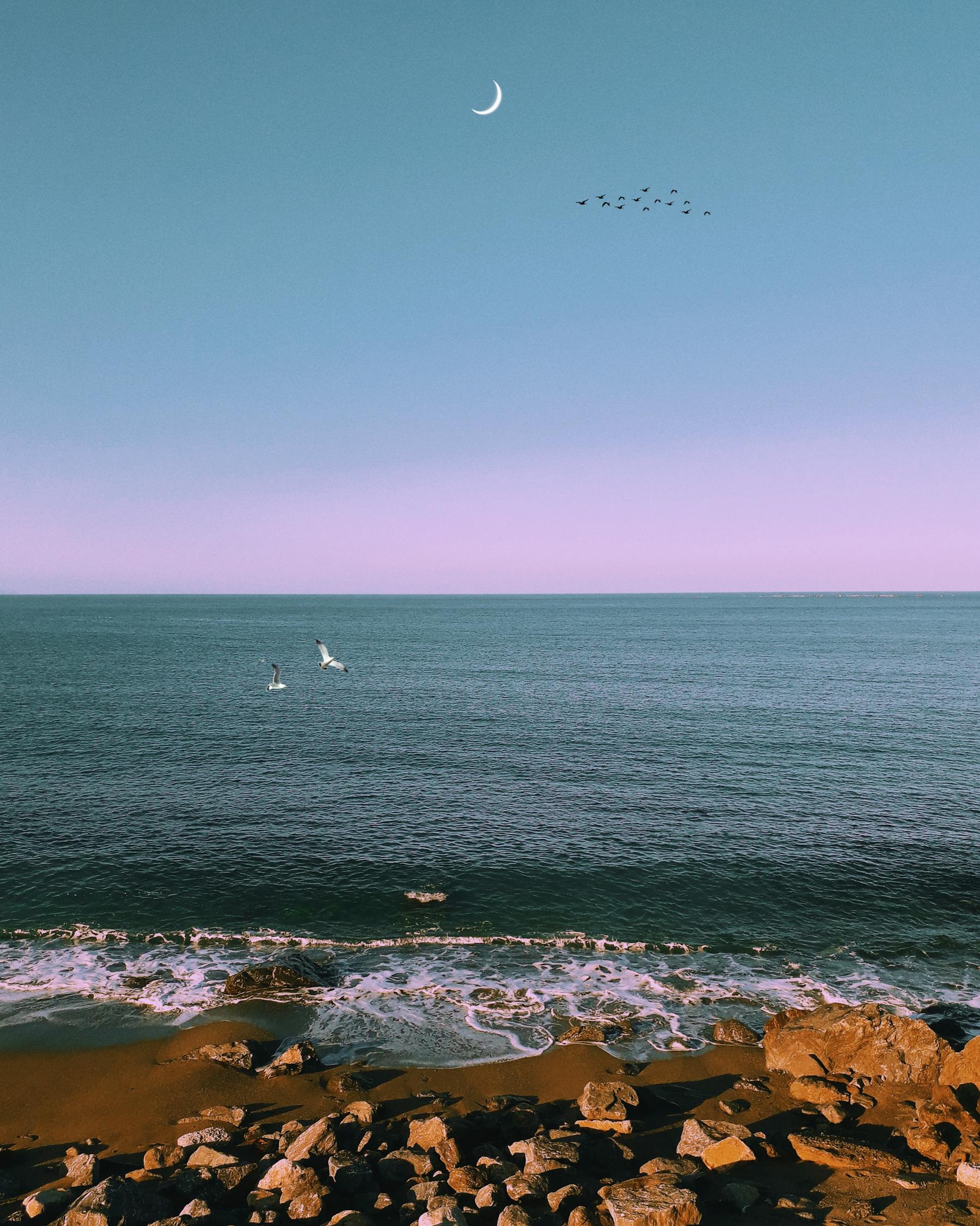 馬特波莫最新動態(tài)揭秘，引領(lǐng)前沿科技，開啟未來趨勢新篇章