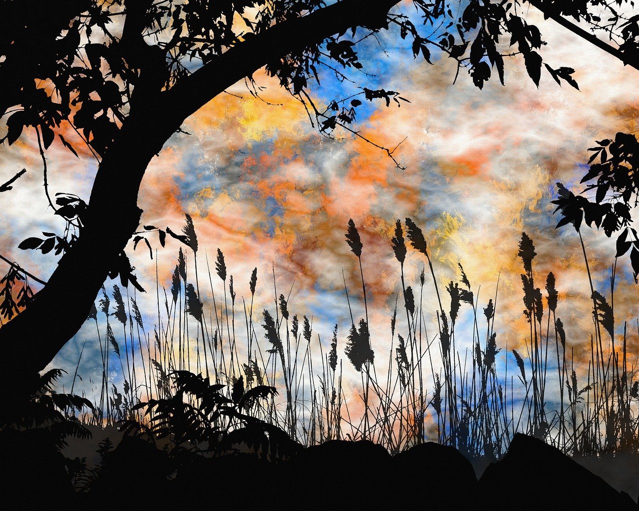 探尋靈魂的迷離之旅，魂不守舍沈秋最新章節(jié)