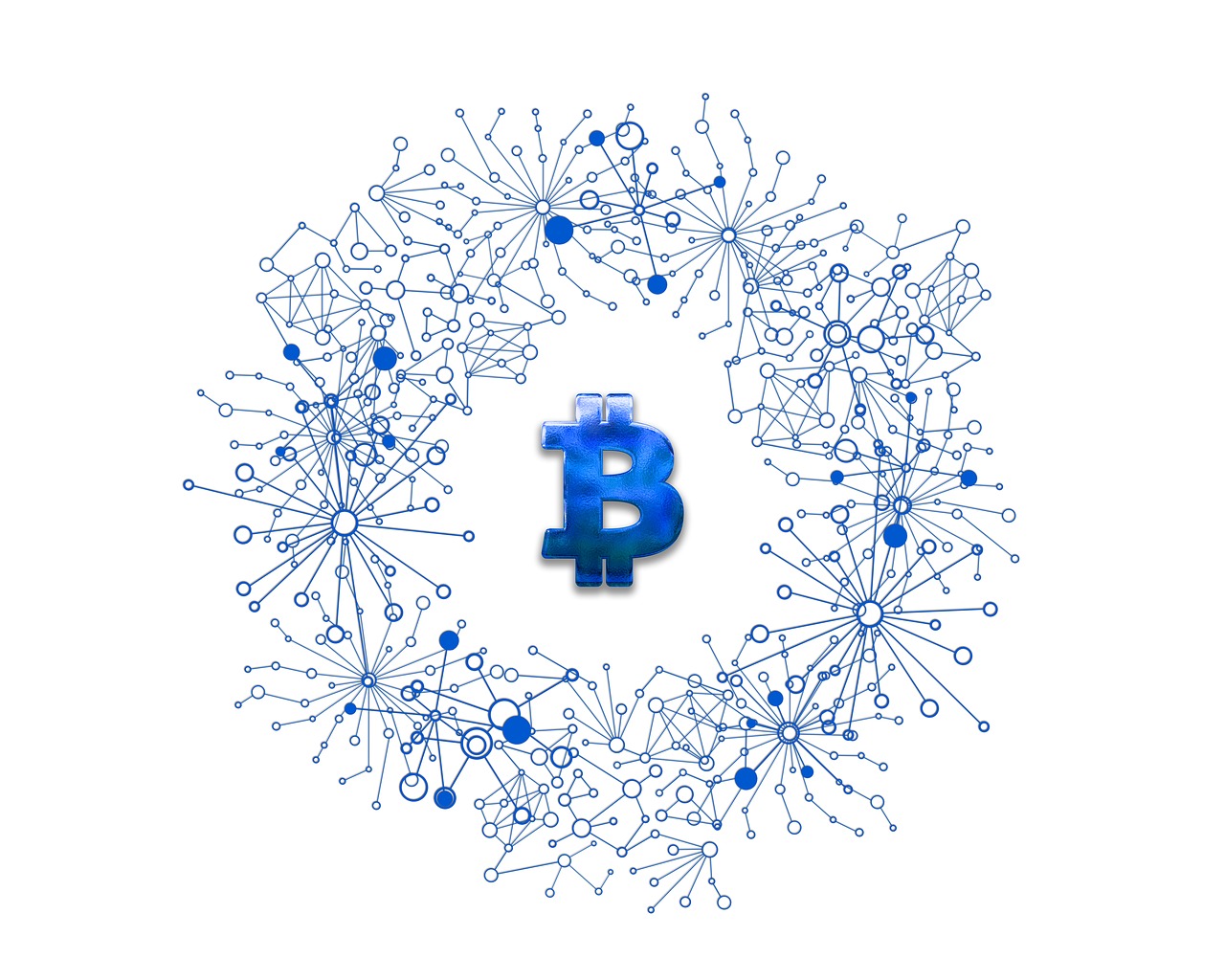 美人魚幣最新動態(tài)，探索數(shù)字貨幣新領域