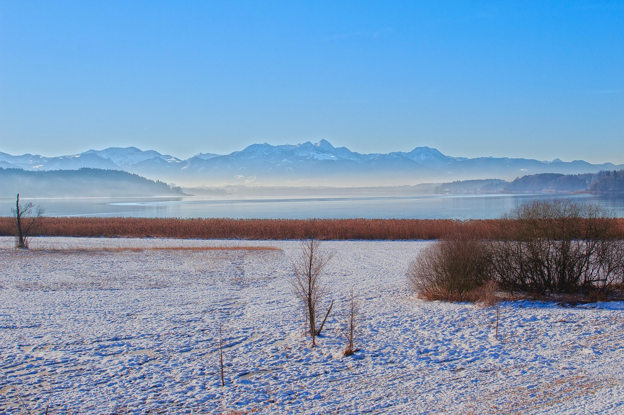 揭秘，關(guān)于1977年1分硬幣的最新消息與動(dòng)態(tài)分析