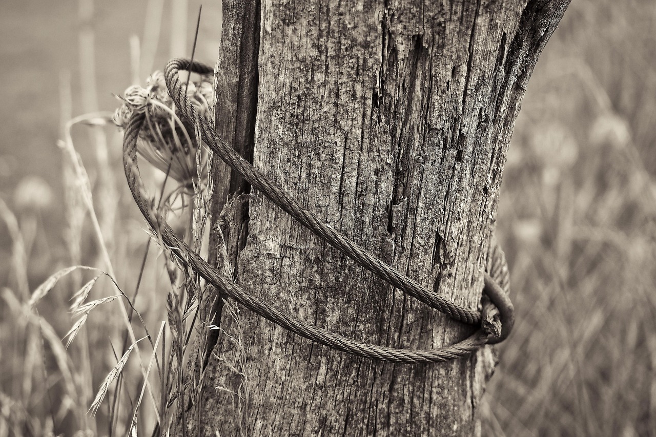 祁陽撤縣劃市最新動態(tài)，轉(zhuǎn)型發(fā)展開啟嶄新篇章