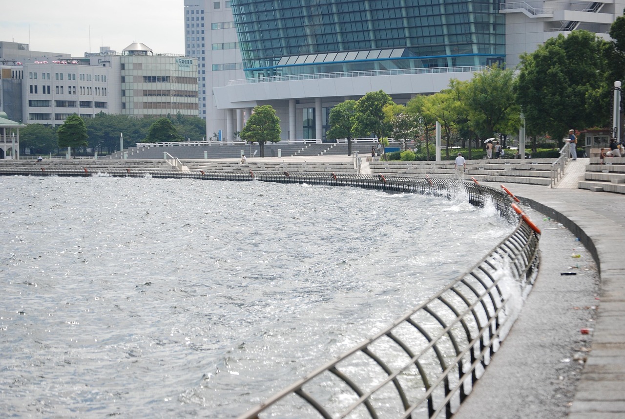 鄭州海昌海洋公園最新動態(tài)揭秘，揭開神秘面紗，展現(xiàn)海洋魅力奇觀