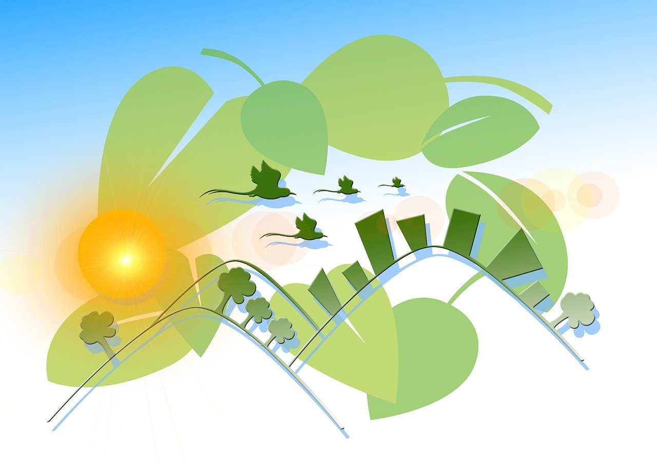 ST長(zhǎng)油新三板動(dòng)態(tài)，最新消息與深度解析