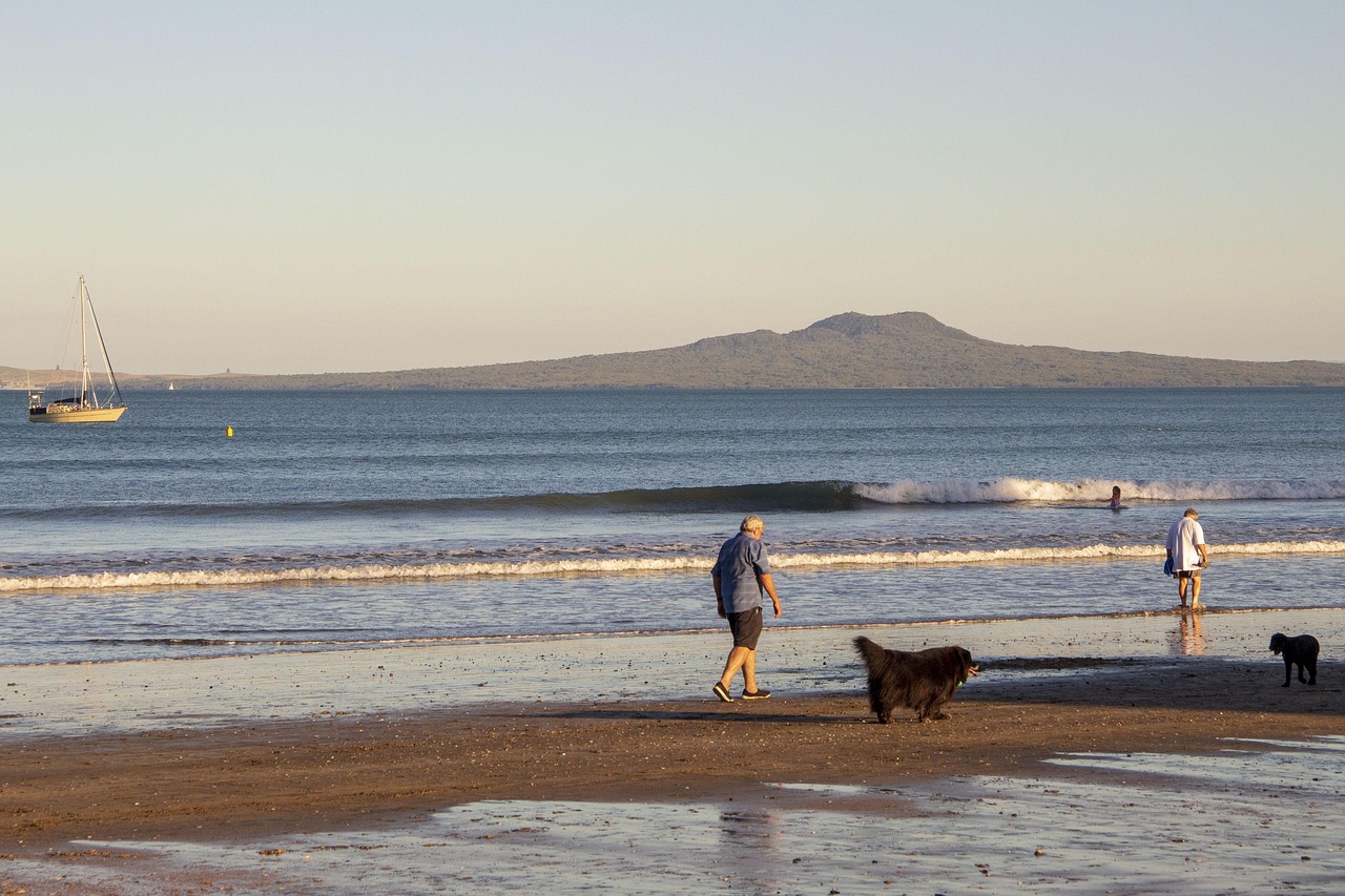 山西退休職工養(yǎng)老金調(diào)整最新動(dòng)態(tài)，改革進(jìn)展、未來展望與調(diào)整消息速遞