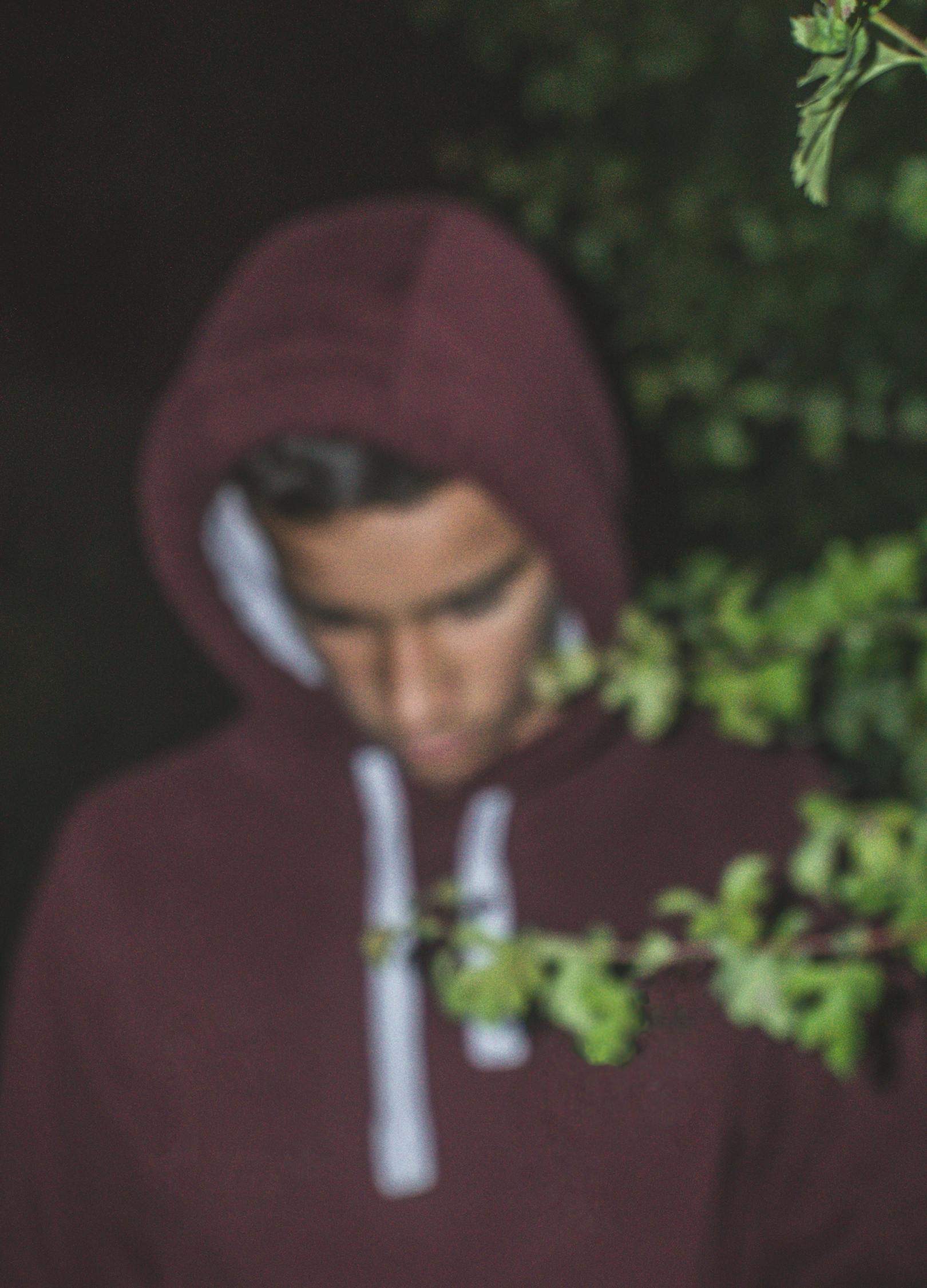 最新情愛電影，情感與愛的多維畫卷探索