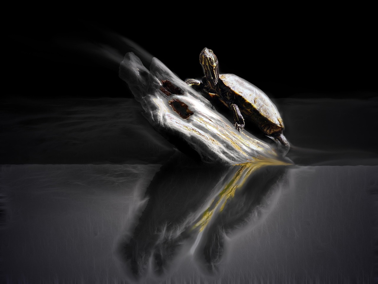 最新國產(chǎn)鬼片，恐怖與神秘的邊緣探索