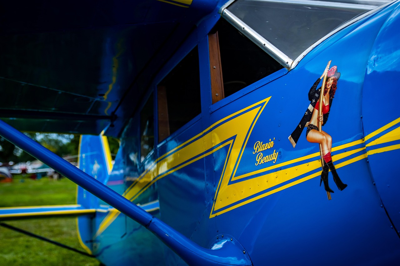 革新觀影體驗(yàn)，最新視頻app帶你飛！